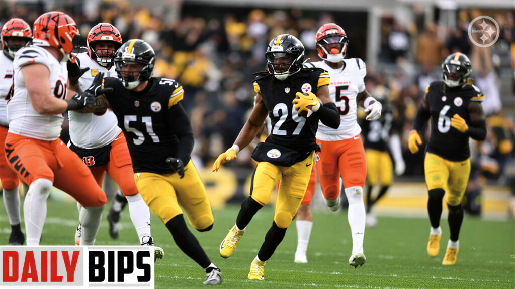 pittsburgh steelers vs bengals match player stats